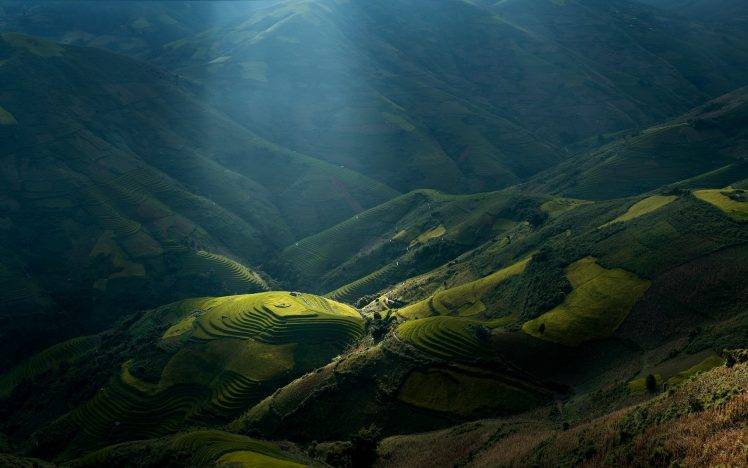 mountain, Vietnam, Sunlight, Landscape, Sun Rays, Terraces, Rice Paddy, Nature, Green, Valley HD Wallpaper Desktop Background