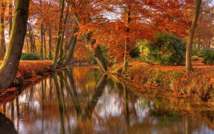 nature, Landscape, Park, Shrubs, Trees, Leaves, Canal, Reflection, Bridge, Fall, Water HD Wallpaper Desktop Background