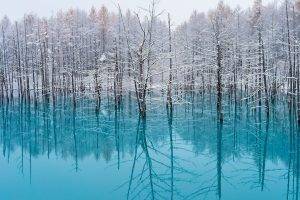 lake, Trees, Nature, Turquoise, Water, Snow, Reflection, Winter, Japan, Landscape, Cold, Mist, Forest
