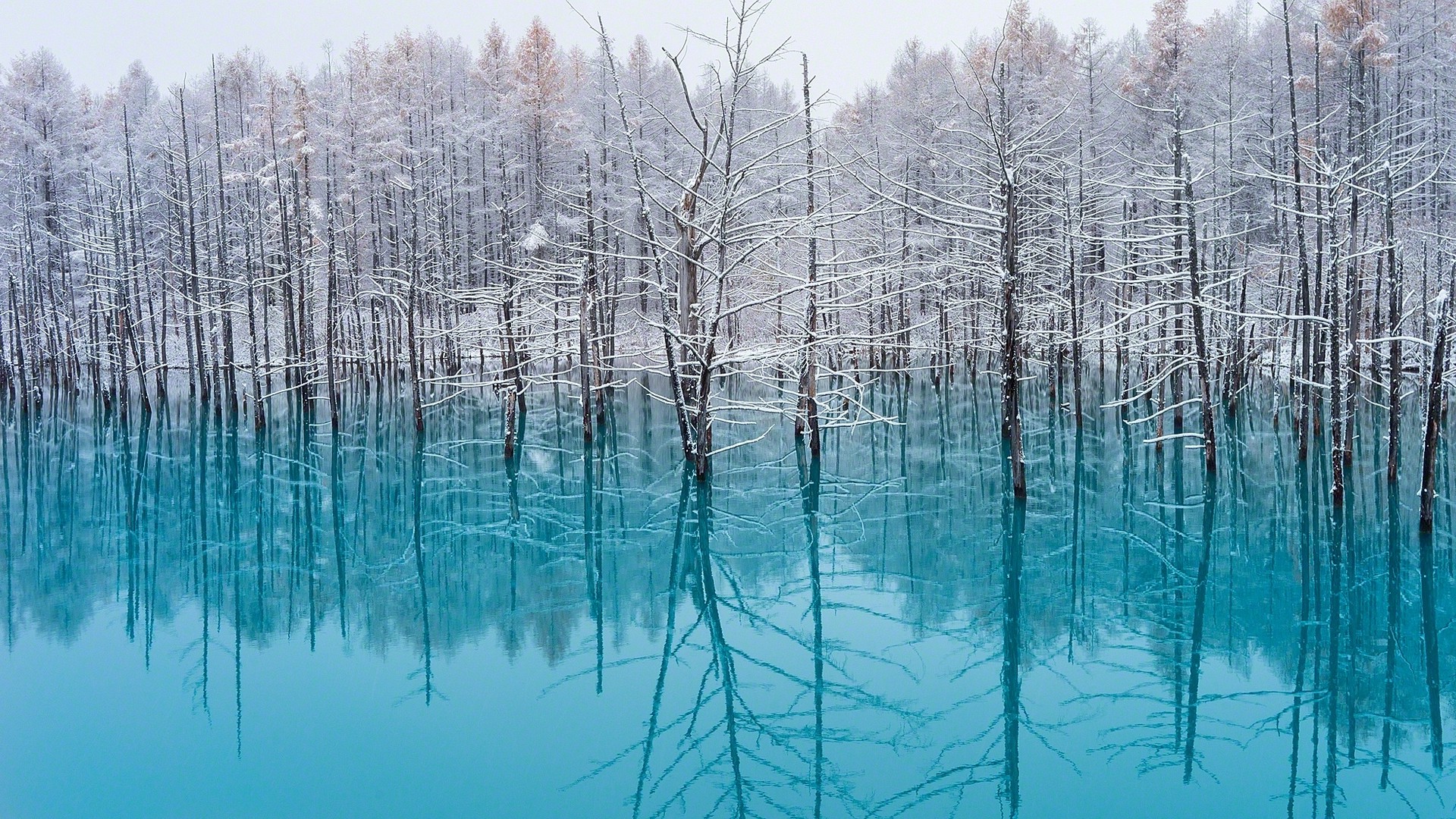 lake, Trees, Nature, Turquoise, Water, Snow, Reflection, Winter, Japan, Landscape, Cold, Mist, Forest Wallpaper