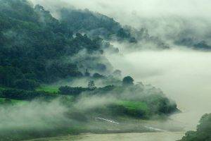 nature, Mist, Landscape, River, Mountain, Forest, India, Spring, Grass, Green