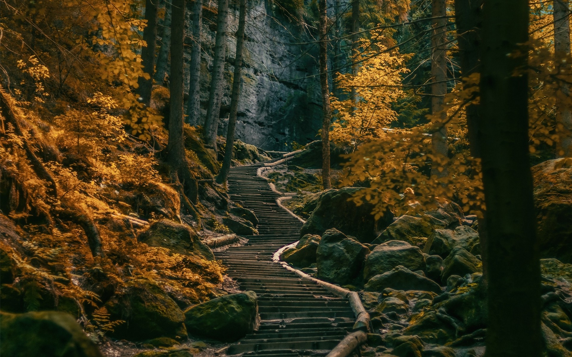 path, Stairs, Dark, Forest, Germany, Nature, Landscape ...