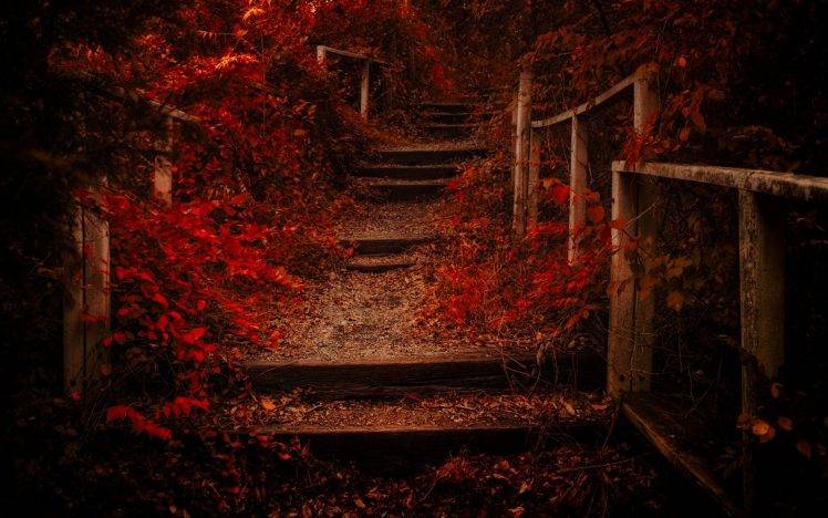 nature, Landscape, Fall, Path, Leaves, Shrubs, Red, Fence, Stairs HD Wallpaper Desktop Background