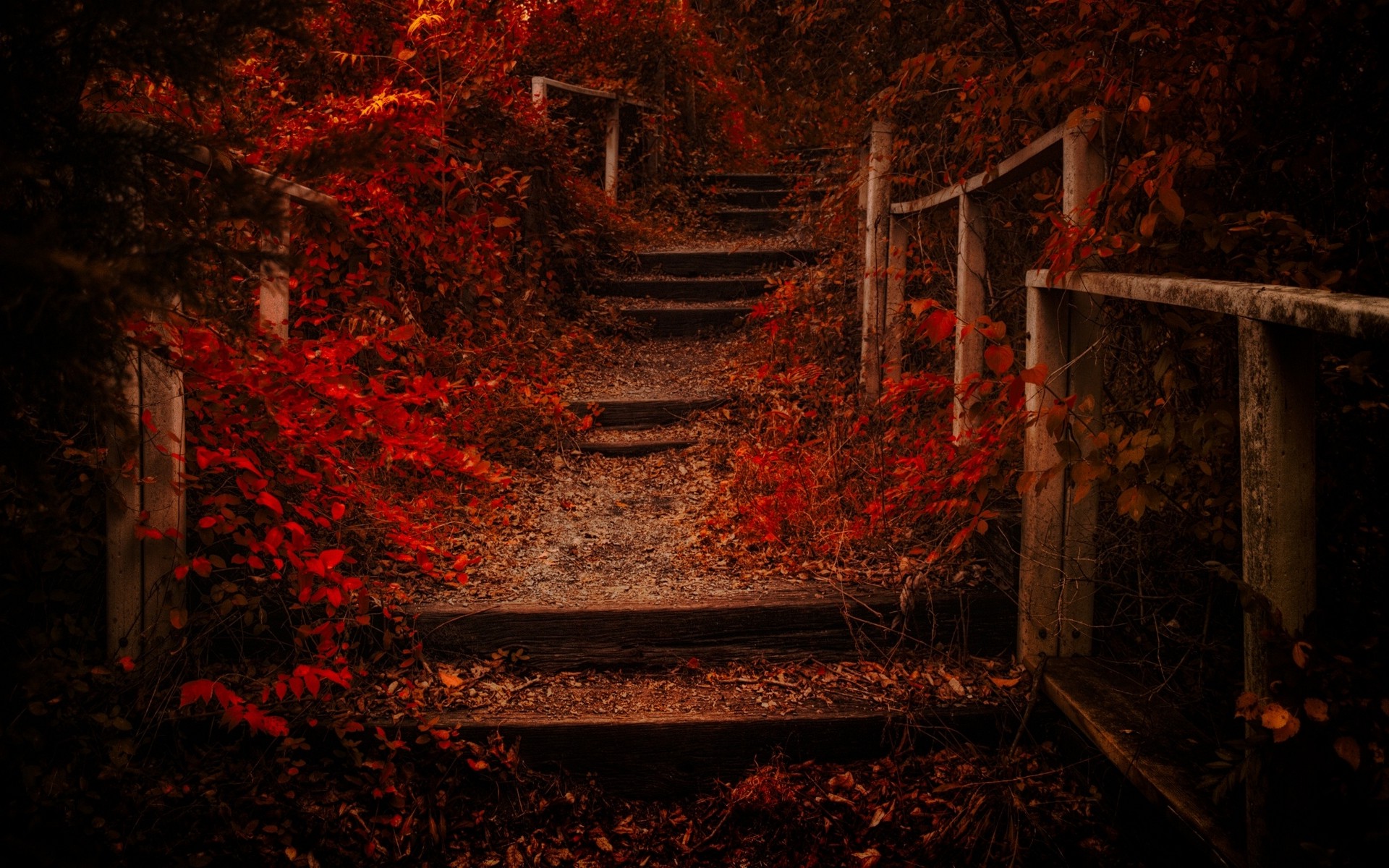 nature, Landscape, Fall, Path, Leaves, Shrubs, Red, Fence, Stairs Wallpaper