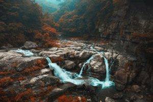 nature, Landscape, Fall, Forest, Waterfall, Trees, River, Mist, Shrubs, Taiwan