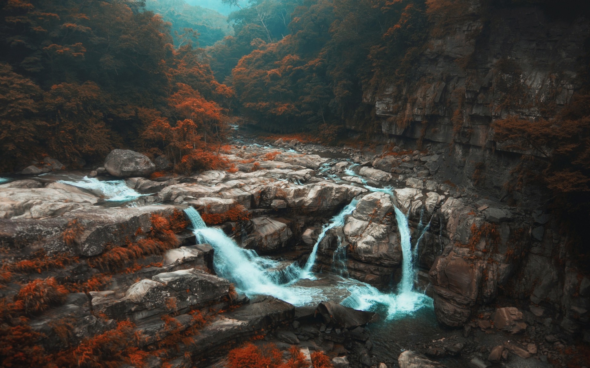 nature, Landscape, Fall, Forest, Waterfall, Trees, River, Mist, Shrubs, Taiwan Wallpaper