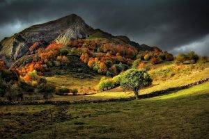 nature, Landscape, Fall, Mountain, Grass, Trees, Dark, Clouds, Sunlight