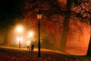 nature, Landscape, Park, Lantern, Trees, Night, Mist, Bench, Bridge, Leaves, Fall, Lights, Path, Atmosphere