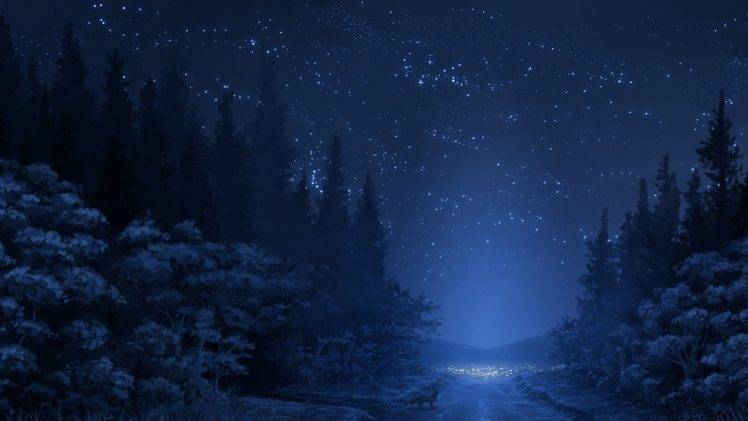 road, Stars, Night, Fox, Forest, Trees, Anime HD Wallpaper Desktop Background