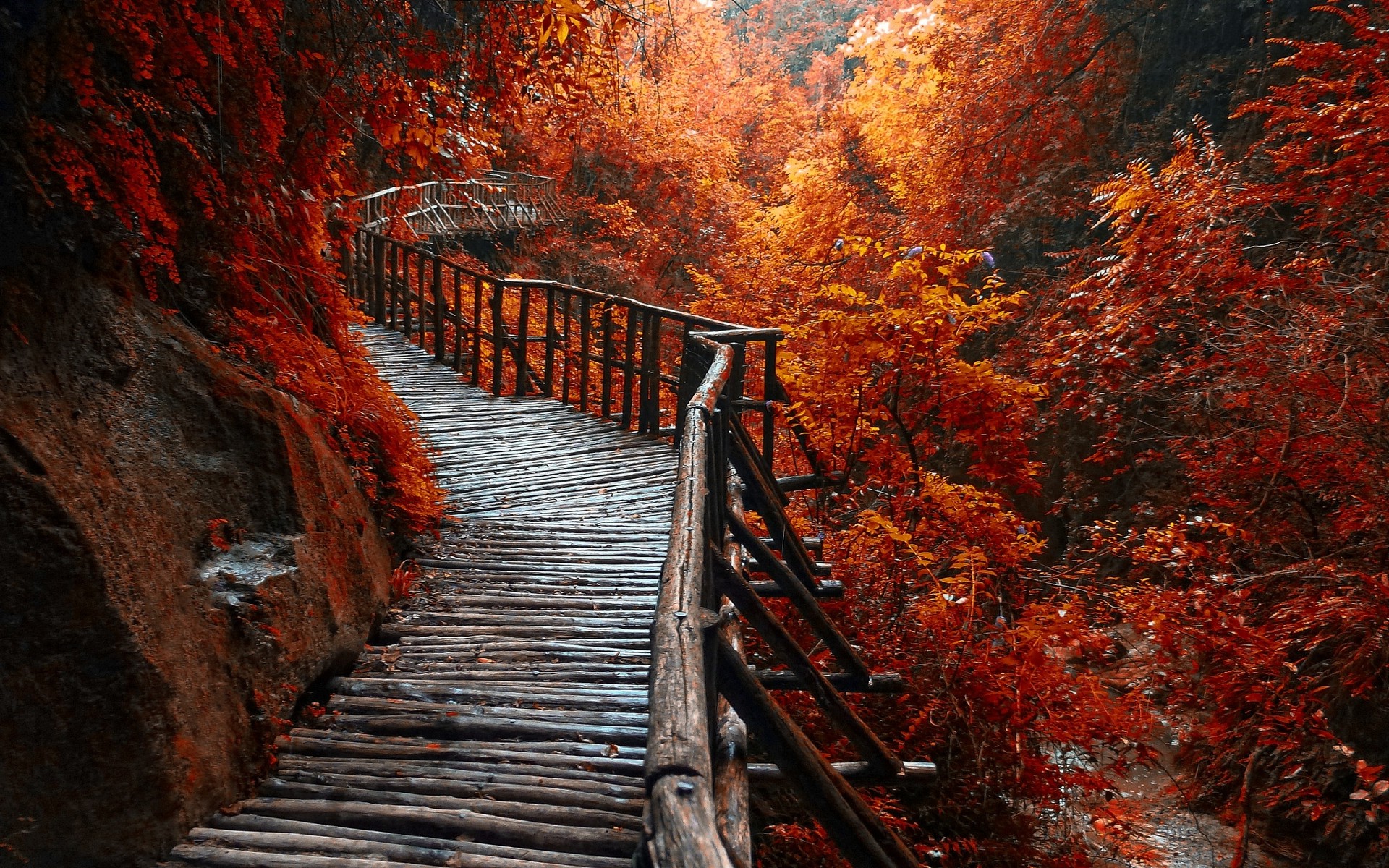 Nature Landscape River Forest Fall Walkway Path Trees Leaves Wallpapers Hd Desktop And