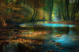 nature, Landscape, Forest, River, Fall, Leaves, Sun Rays, Mist, Sunlight, Trees, Morning, Germany, Water