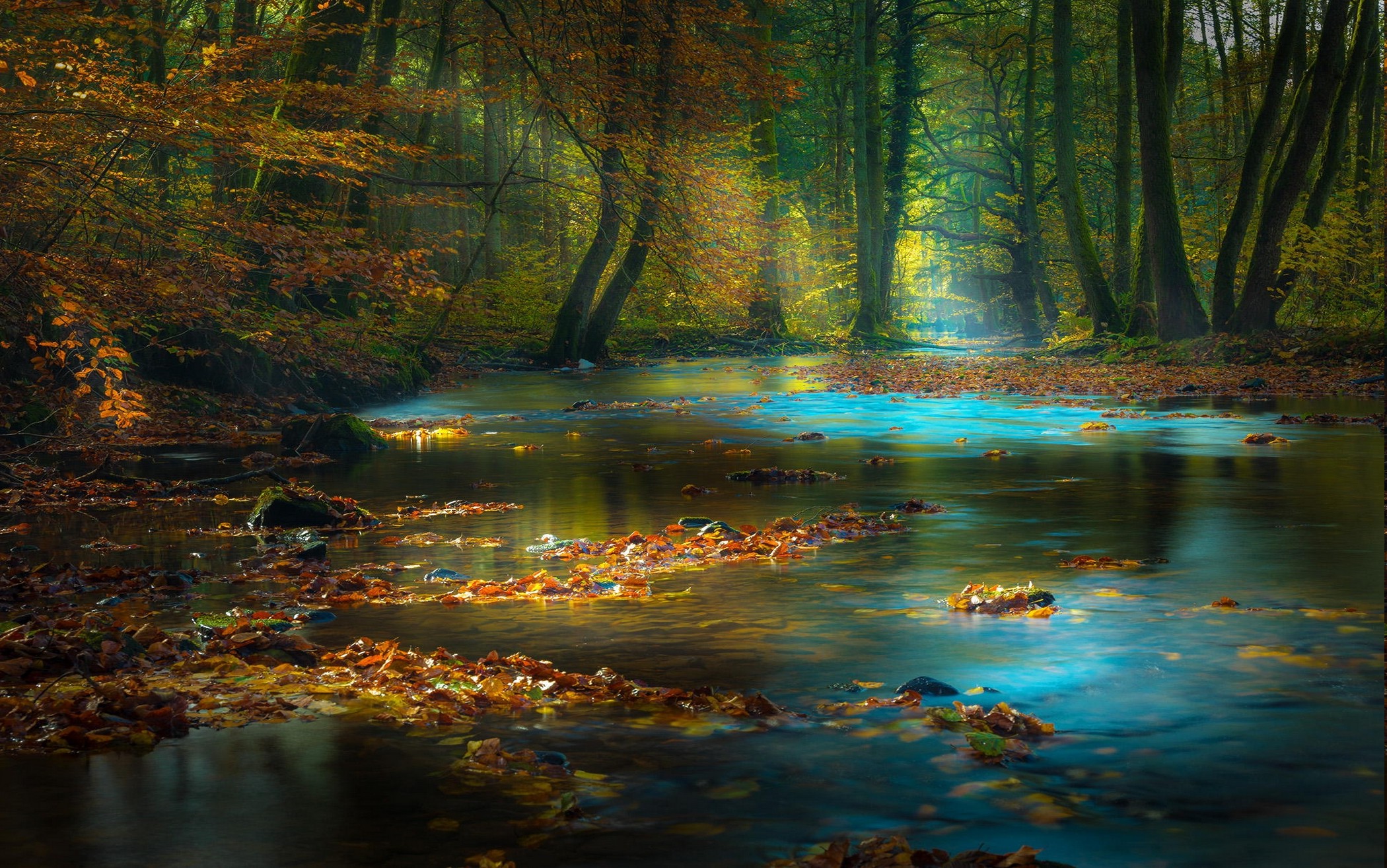 nature, Landscape, Forest, River, Fall, Leaves, Sun Rays, Mist, Sunlight, Trees, Morning, Germany, Water Wallpaper