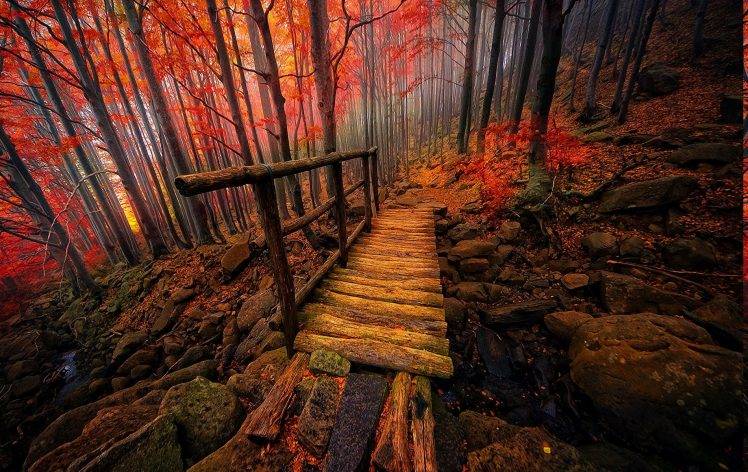 nature, Landscape, Forest, Colorful, Bridge, Fall, Mist, Italy, Creeks, Trees, Atmosphere HD Wallpaper Desktop Background