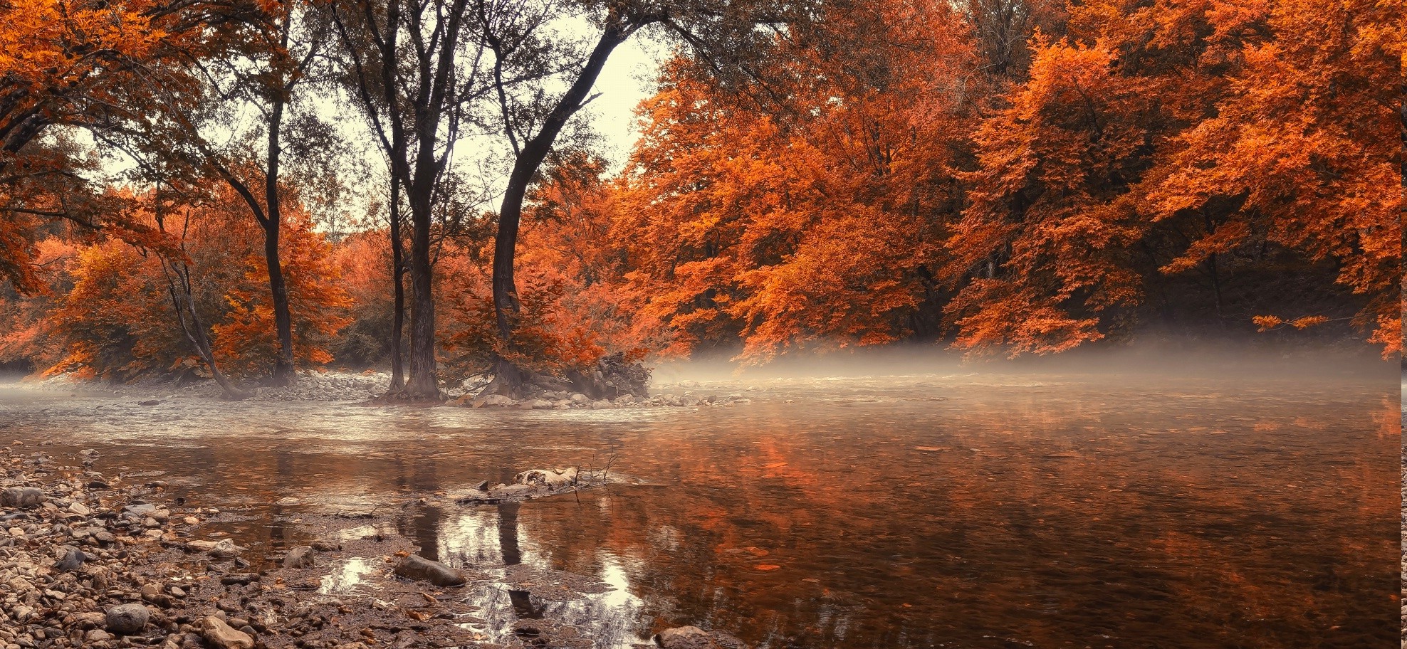 landscape, Nature, Fall, River, Greece, Forest, Mist, Water, Trees, Amber Wallpaper