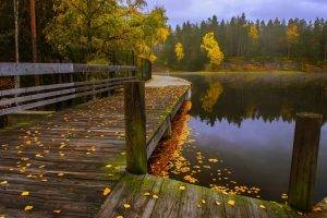 nature, Landscape, Fall, Leaves, Lake, Forest, Walkway, Fence, Trees, Water