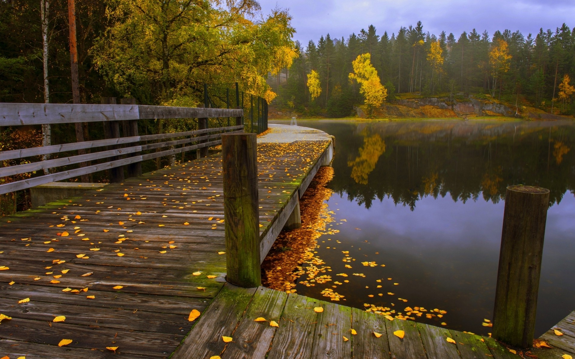 Nature, Landscape, Fall, Leaves, Lake, Forest, Walkway 