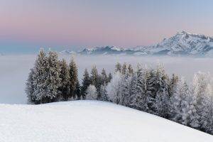 nature, Snow, Forest, Mountain, Mist, Landscape
