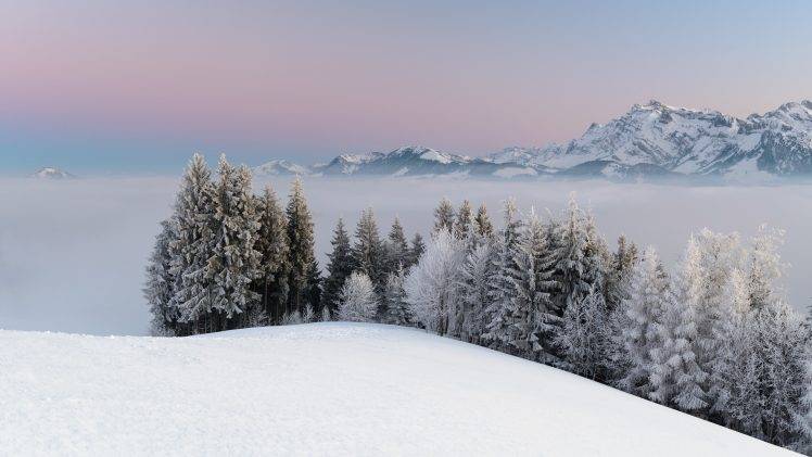 nature, Snow, Forest, Mountain, Mist, Landscape HD Wallpaper Desktop Background