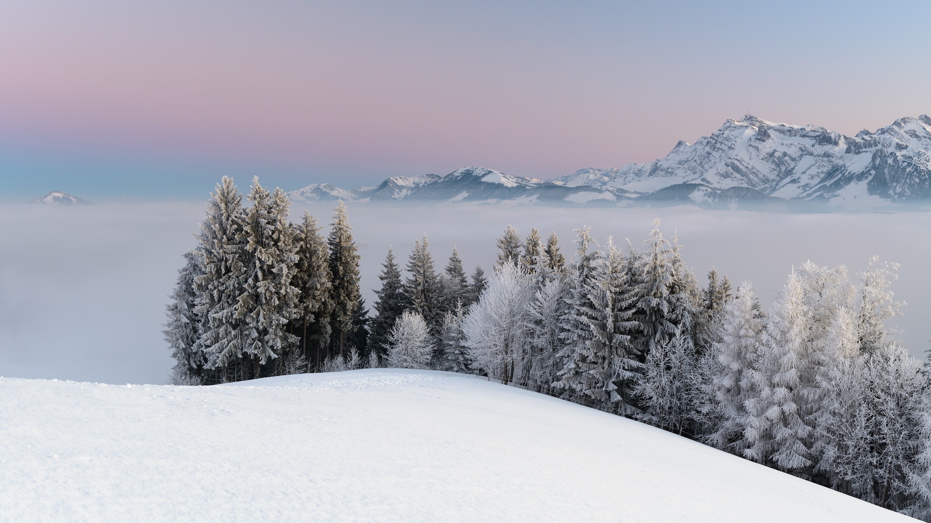 nature, Snow, Forest, Mountain, Mist, Landscape Wallpapers HD / Desktop