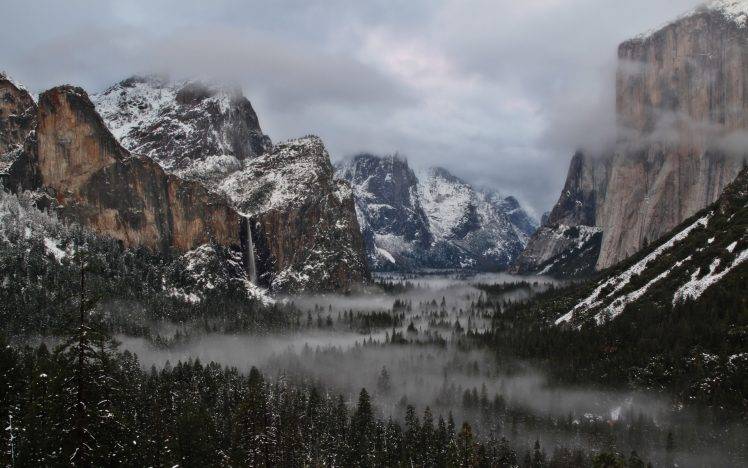 nature, Mountain, Forest, Mist, Landscape HD Wallpaper Desktop Background