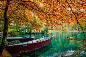 nature, Landscape, Lake, Trees, Boat, Leaves, Fall, Green, Water