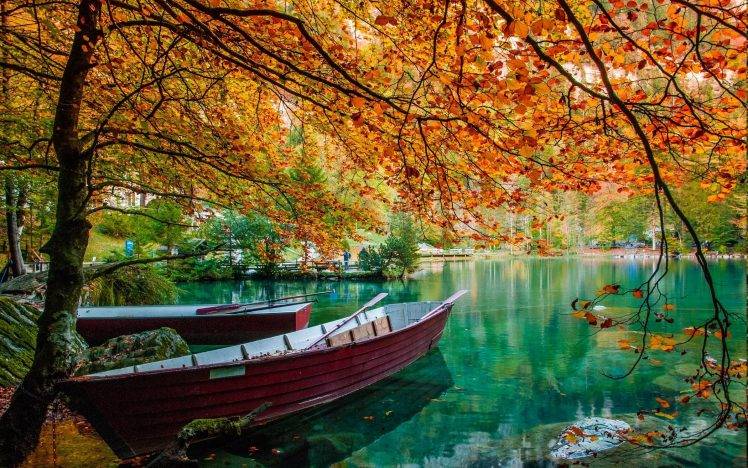 nature, Landscape, Lake, Trees, Boat, Leaves, Fall, Green, Water HD Wallpaper Desktop Background