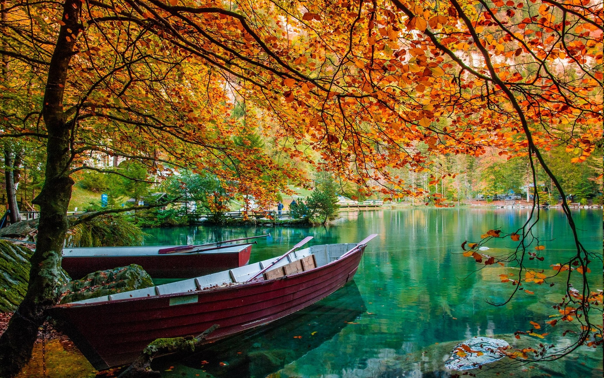 nature, Landscape, Lake, Trees, Boat, Leaves, Fall, Green, Water ...