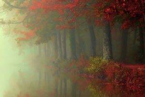 nature, Landscape, Fall, Forest, Mist, River, Trees, Red, Leaves, Shrubs, Reflection, Morning, Atmosphere