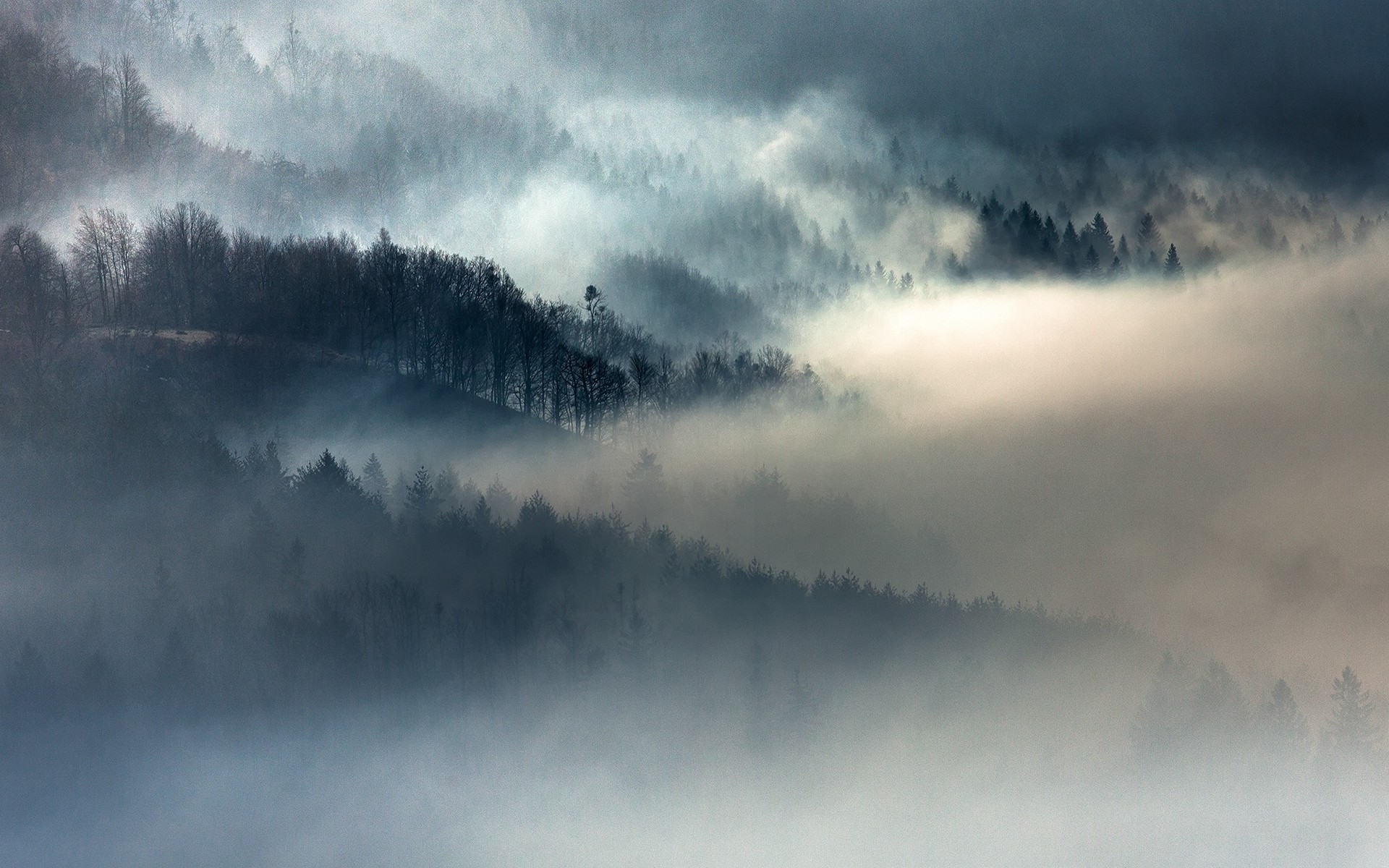Sunrise Forest Mist Mountain