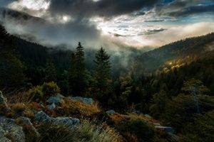 nature, Landscape, Forest, Mountain, Sunrise, Trees, Mist, Clouds, Sky, Fall