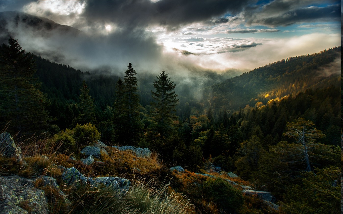 nature, Landscape, Forest, Mountain, Sunrise, Trees, Mist, Clouds, Sky, Fall Wallpaper