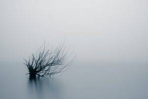 nature, Landscape, Minimalism, Water, Mist, Long Exposure, Blurred, Reflection, Monochrome, Trees, Branch