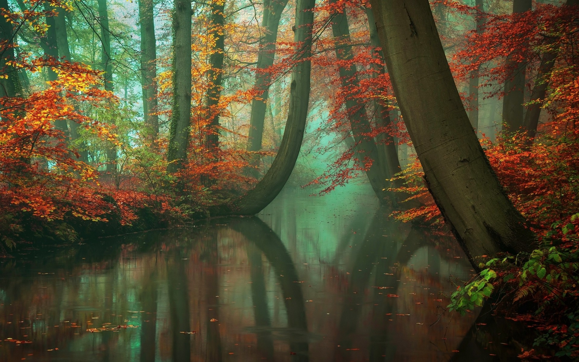 nature, Landscape, Mist, Forest, Fall, River, Reflection, Red, Yellow, Green, Leaves, Water, Trees, Peace Wallpaper