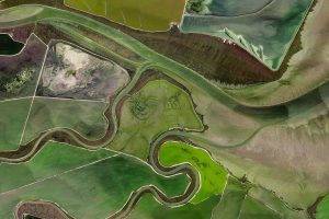 nature, Landscape, Aerial View, River, Field, Dirt Road, Lines, Abstract, Green