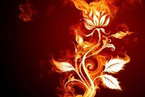flowers, Fire, Abstract