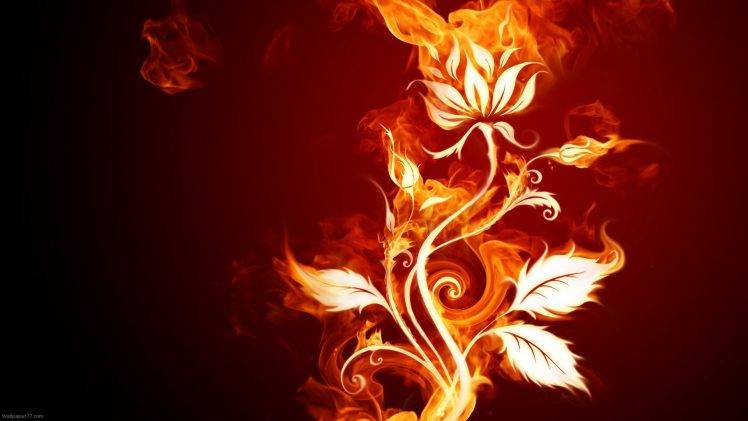 flowers, Fire, Abstract HD Wallpaper Desktop Background
