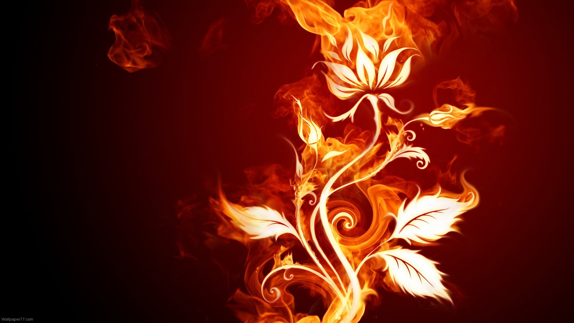 flowers, Fire, Abstract Wallpaper