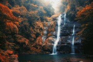 nature, Landscape, Waterfall, Mist, Fall, Forest, Daylight, Orange, Leaves, Pond