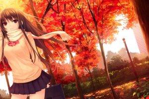 anime Girls, School Uniform, Fall