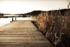 pier, Nature, Landscape, Vignette, Reeds