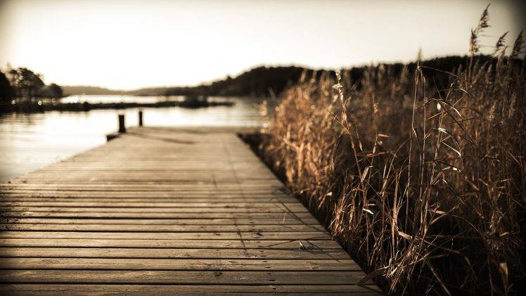 pier, Nature, Landscape, Vignette, Reeds HD Wallpaper Desktop Background
