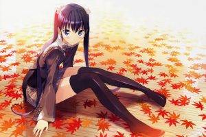 leaves, Anime, Anime Girls, Sitting, Stockings, School Uniform, Akizora Ni Mau Confetti, Ando Saya