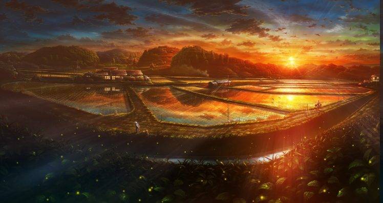 anime, Village, Rice, Sunset HD Wallpaper Desktop Background