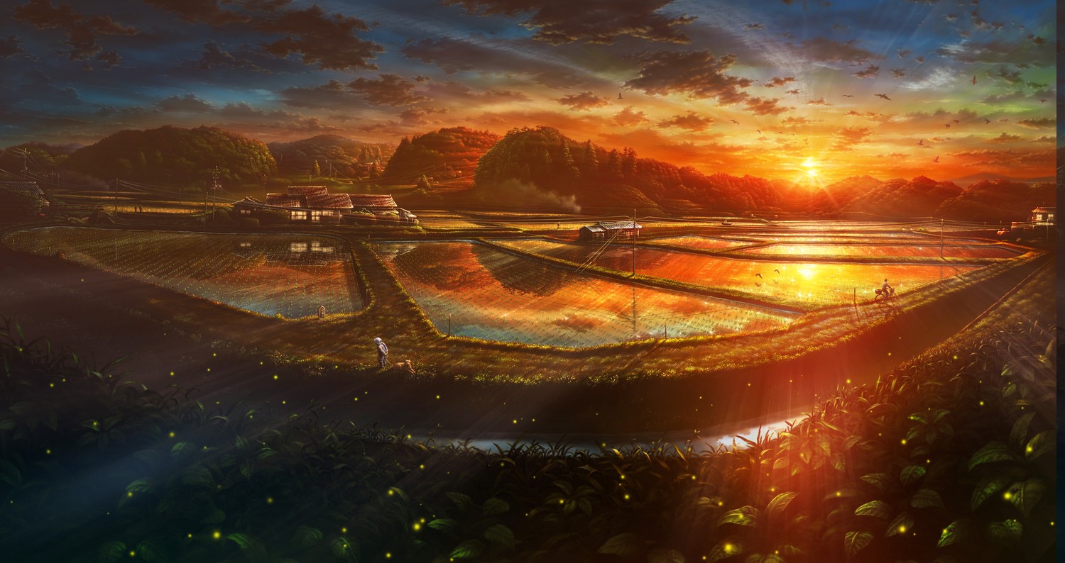 anime, Village, Rice, Sunset Wallpaper