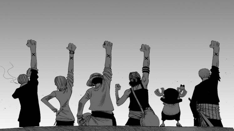 anime, One Piece, Monochrome, Back, White Background, Arms Up, Monkey D. Luffy, Roronoa Zoro, Tony Tony Chopper, Usopp, Nami, Sanji HD Wallpaper Desktop Background