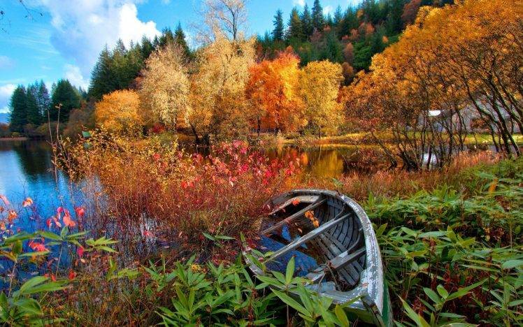 lake, Nature, Canoes, Trees, Fall, Landscape HD Wallpaper Desktop Background