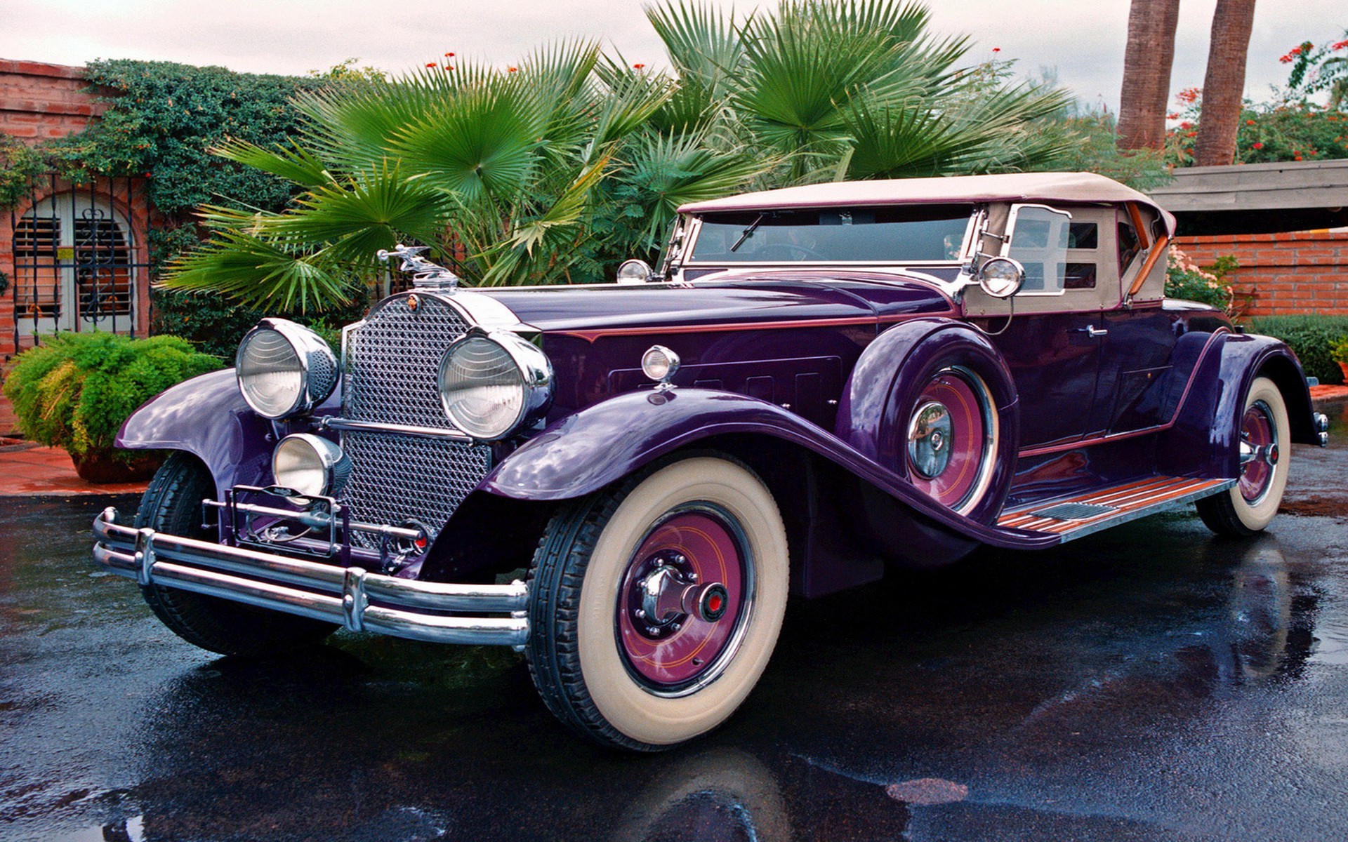 Packard, car, vintage, purple Wallpapers HD / Desktop and Mobile ...