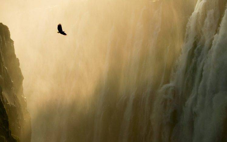 eagle, Waterfall, Landscape, Mist, Nature, Birds, Animals, Water HD Wallpaper Desktop Background