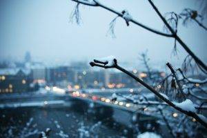 winter, Landscape, Trees, Depth Of Field, Snow, City