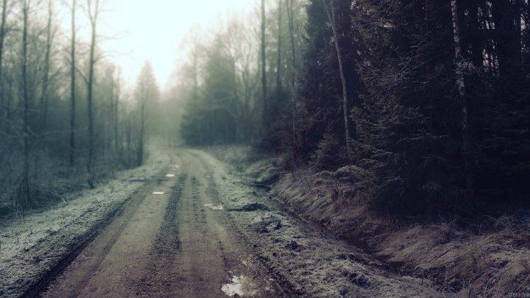 road, Mist, Dirty, Trees, Forest, Nature, Landscape Wallpapers HD / Desktop  and Mobile Backgrounds